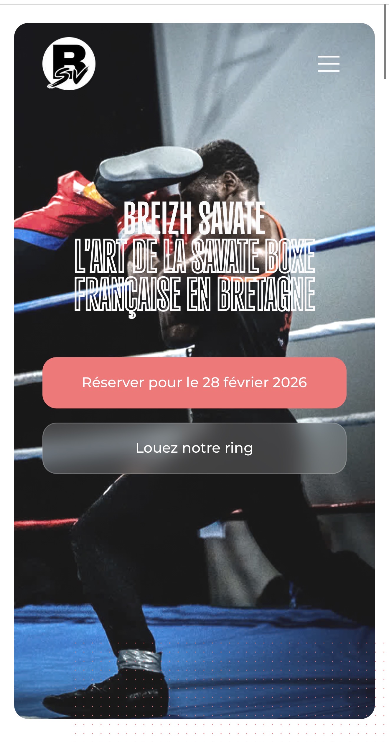 Image du projet Breizh Savate (4)