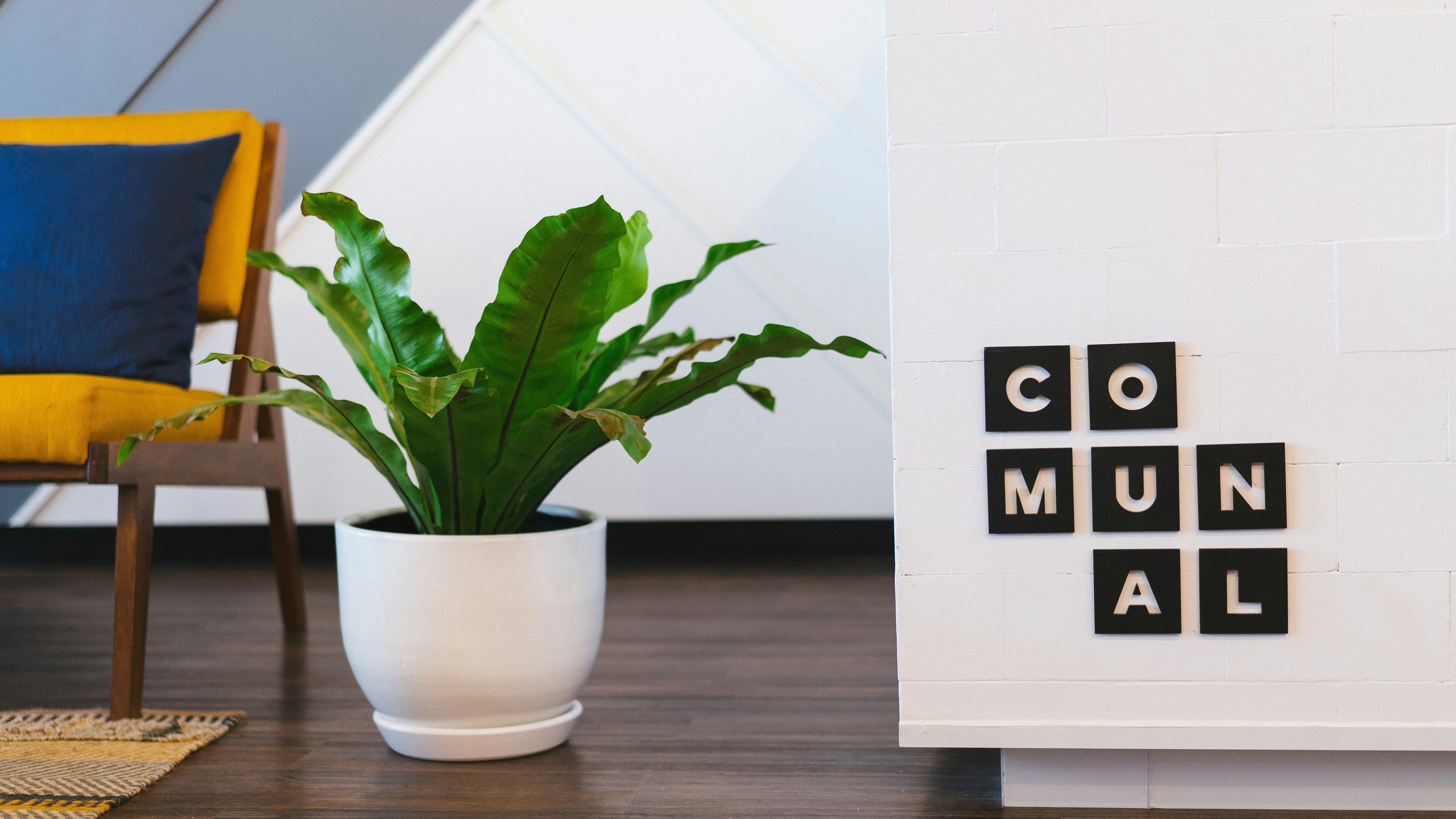 Module estimation en ligne wordpress.jpeg